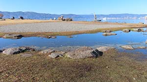 �N���b�N���Ċg��